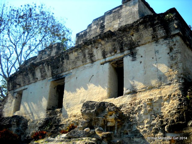 Tikal, Guatemala (35)